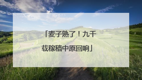 麦子熟了！九千载稼穑中原回响