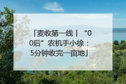 麦收第一线丨“00后”农机手小徐：5分钟收完一亩地