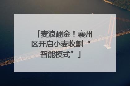 麦浪翻金！襄州区开启小麦收割“智能模式”