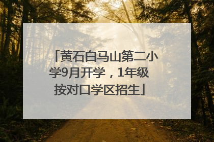 黄石白马山第二小学9月开学，1年级按对口学区招生