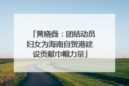 黄晓薇：团结动员妇女为海南自贸港建设贡献巾帼力量