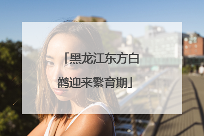 黑龙江东方白鹳迎来繁育期