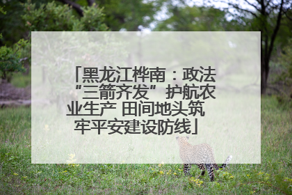 黑龙江桦南：政法“三箭齐发”护航农业生产 田间地头筑牢平安建设防线