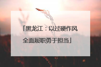 黑龙江：以过硬作风全面履职勇于担当