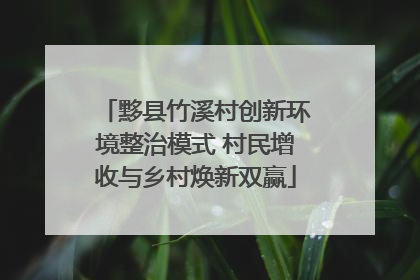 黟县竹溪村创新环境整治模式 村民增收与乡村焕新双赢