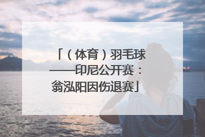 （体育）羽毛球——印尼公开赛：翁泓阳因伤退赛