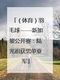 （体育）羽毛球——新加坡公开赛：陆光祖获男单亚军