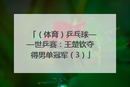 （体育）乒乓球——世乒赛：王楚钦夺得男单冠军（3）