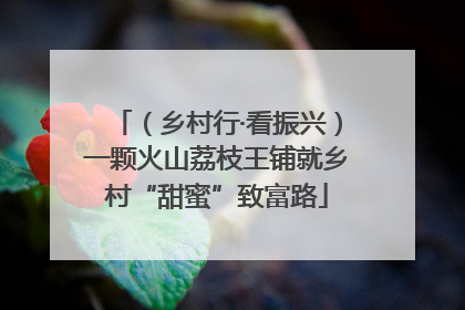 （乡村行·看振兴）一颗火山荔枝王铺就乡村“甜蜜”致富路