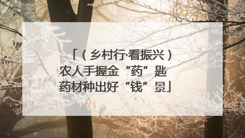 （乡村行·看振兴）农人手握金“药”匙 药材种出好“钱”景
