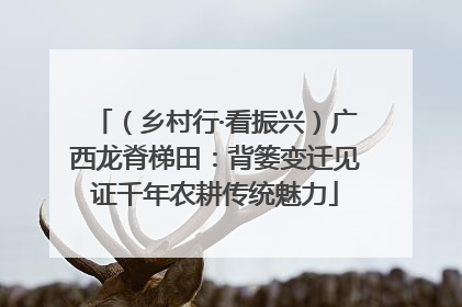 （乡村行·看振兴）广西龙脊梯田：背篓变迁见证千年农耕传统魅力
