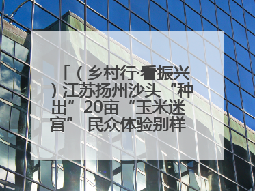 （乡村行·看振兴）江苏扬州沙头“种出”20亩“玉米迷宫” 民众体验别样“田园乐趣”
