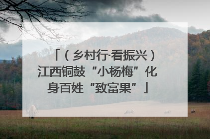 （乡村行·看振兴）江西铜鼓“小杨梅”化身百姓“致富果”