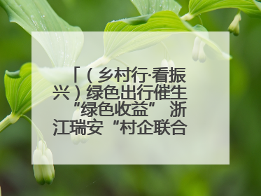 （乡村行·看振兴）绿色出行催生“绿色收益” 浙江瑞安“村企联合体”促共富