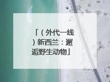 （外代一线）新西兰：邂逅野生动物