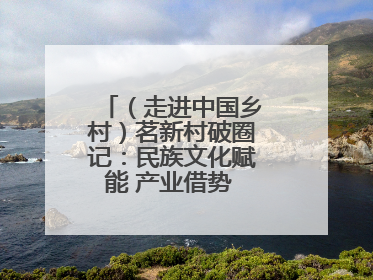 （走进中国乡村）茗新村破圈记：民族文化赋能 产业借势 “网红东风”