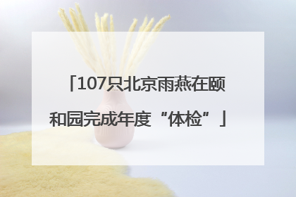 107只北京雨燕在颐和园完成年度“体检”