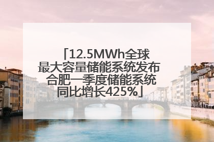 12.5MWh全球最大容量储能系统发布 合肥一季度储能系统同比增长425%