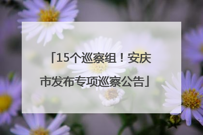 15个巡察组！安庆市发布专项巡察公告