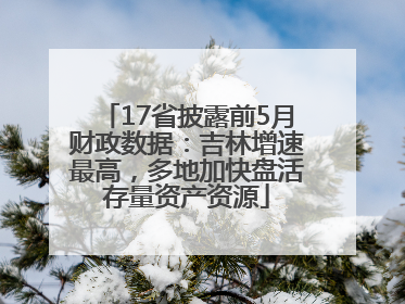 17省披露前5月财政数据：吉林增速最高，多地加快盘活存量资产资源