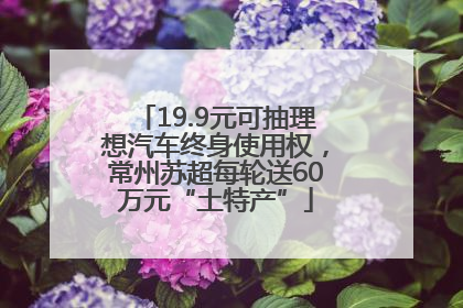 19.9元可抽理想汽车终身使用权，常州苏超每轮送60万元“土特产”