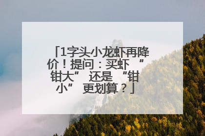 1字头小龙虾再降价！提问：买虾 “钳大” 还是 “钳小” 更划算？