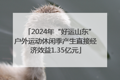 2024年“好运山东”户外运动休闲季产生直接经济效益1.35亿元