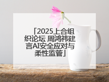 2025上合组织论坛 周鸿祎建言AI安全应对与柔性监管