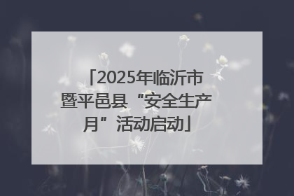 2025年临沂市暨平邑县“安全生产月”活动启动
