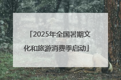 2025年全国暑期文化和旅游消费季启动