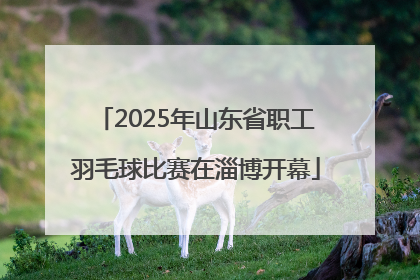 2025年山东省职工羽毛球比赛在淄博开幕