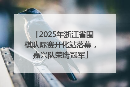 2025年浙江省围棋队际赛开化站落幕，嘉兴队荣膺冠军