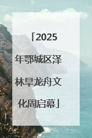 2025年鄂城区泽林旱龙舟文化周启幕