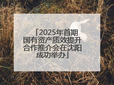 2025年首期国有资产质效提升合作推介会在沈阳成功举办