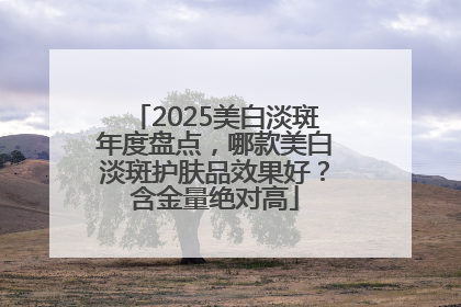 2025美白淡斑年度盘点，哪款美白淡斑护肤品效果好？含金量绝对高