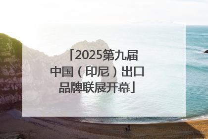 2025第九届中国（印尼）出口品牌联展开幕