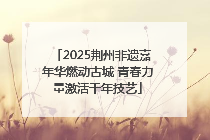 2025荆州非遗嘉年华燃动古城 青春力量激活千年技艺