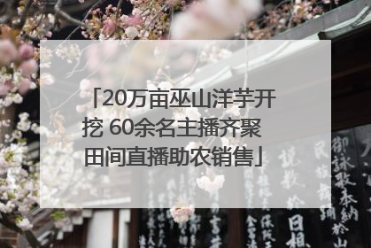 20万亩巫山洋芋开挖 60余名主播齐聚田间直播助农销售