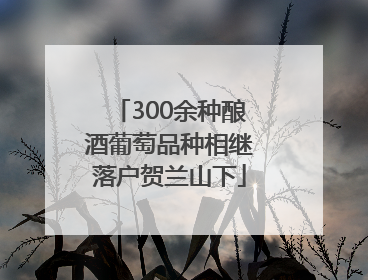 300余种酿酒葡萄品种相继落户贺兰山下