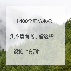 400个消防水枪头不翼而飞，偷这些设施“真刑”！