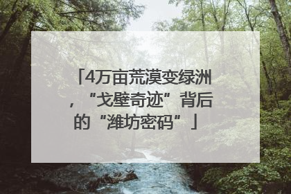 4万亩荒漠变绿洲，“戈壁奇迹”背后的“潍坊密码”