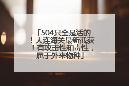 504只全是活的！大连海关最新截获！有攻击性和毒性，属于外来物种