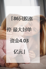 86只股涨停 最大封单资金4.03亿元