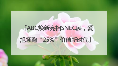 ABC焕新亮相SNEC展，爱旭领跑“25%”价值新时代