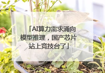 AI算力需求涌向模型推理，国产芯片站上竞技台了