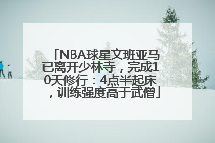 NBA球星文班亚马已离开少林寺，完成10天修行：4点半起床，训练强度高于武僧
